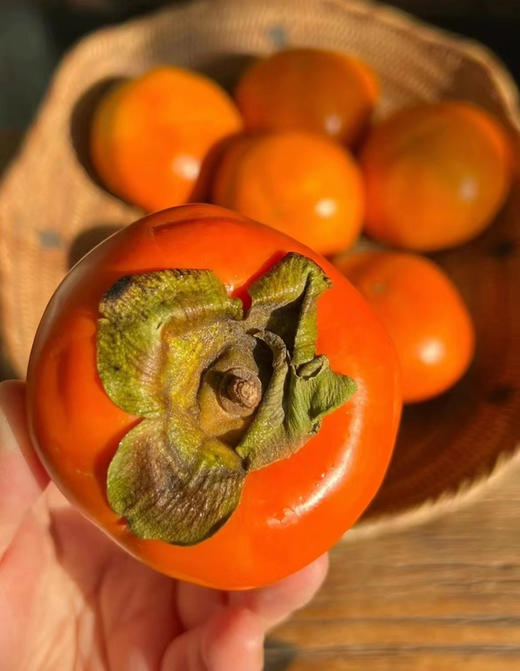 专属于秋天特有的味道，清爽解腻，去燥润肺，令人惊艳的甜，美味柿不可挡，味道是脆柿子的味道，口感是软柿子的口感， 有点神奇 ，像果冻一样丝滑，一瓣瓣柿瓣艮啾啾的，口感十足！约4斤/袋，8粒 商品图2