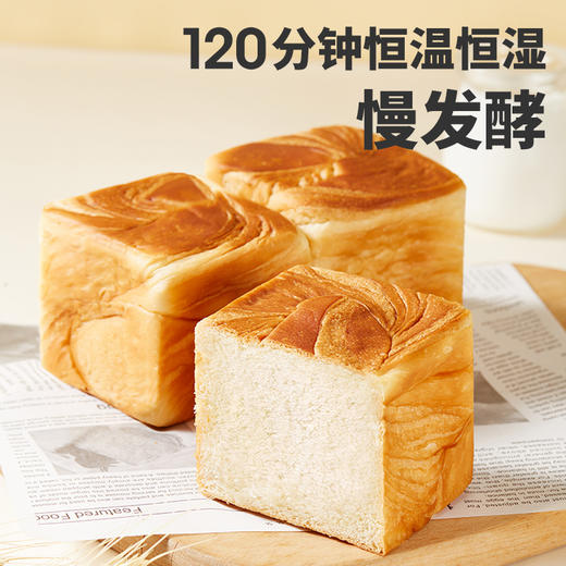 牛奶吐司小方面包（奶香味）480g 商品图3