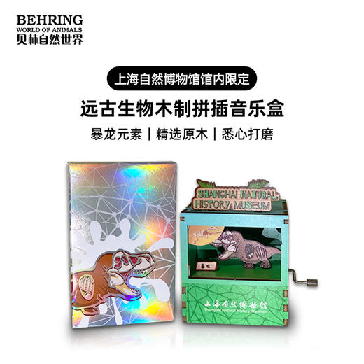 贝林自然世界X上海自然博物馆限定远古生物木制拼插音乐盒 商品图0
