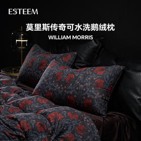 莫里斯传奇可水洗鹅绒枕