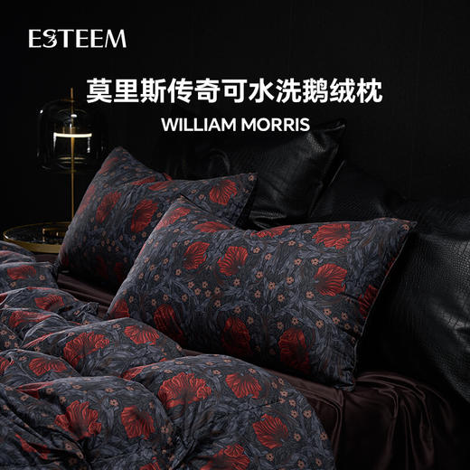 莫里斯传奇可水洗鹅绒枕 商品图0