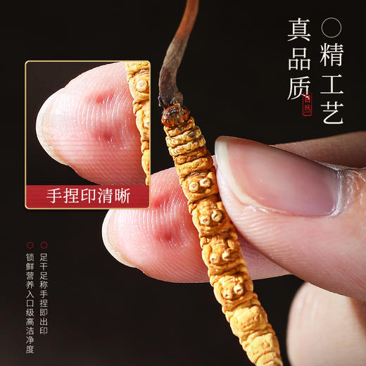 杞里香礼盒冬虫夏草，当年新草，高端礼盒，送礼有面；36g、50g、100g规格任选礼品送礼 商品图3