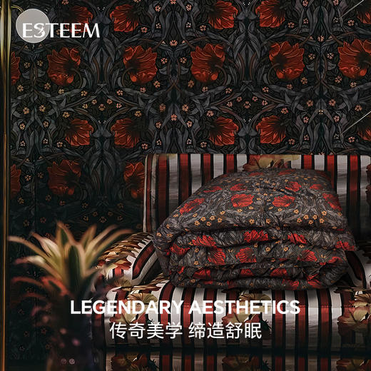 莫里斯传奇可水洗鹅绒被两件套 商品图2