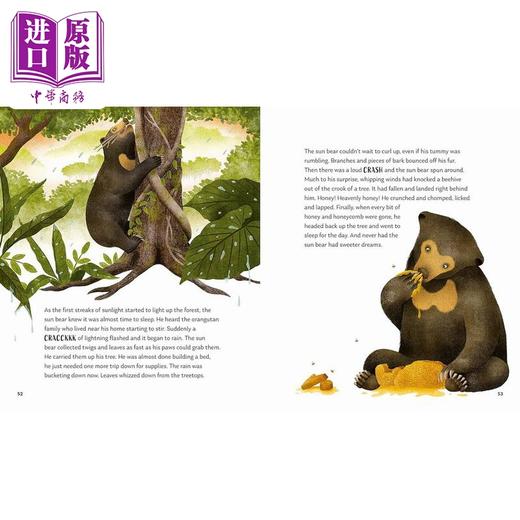 【中商原版】森林的秘密 Kristen Adam Secrets of the Forest 英文原版 科普绘本 知识故事书 精装百科绘本 进口儿童读物 商品图4