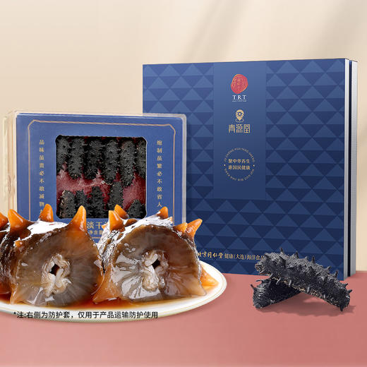 【正宗同仁堂品牌】北京同仁堂（TRT）青源堂 淡干海参50g 12-14只  选自大连  泡发即食 冷风干燥 SY 商品图1