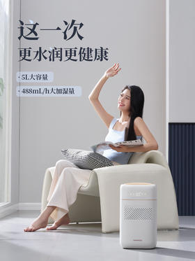 大宇纯净无雾加湿器PH02