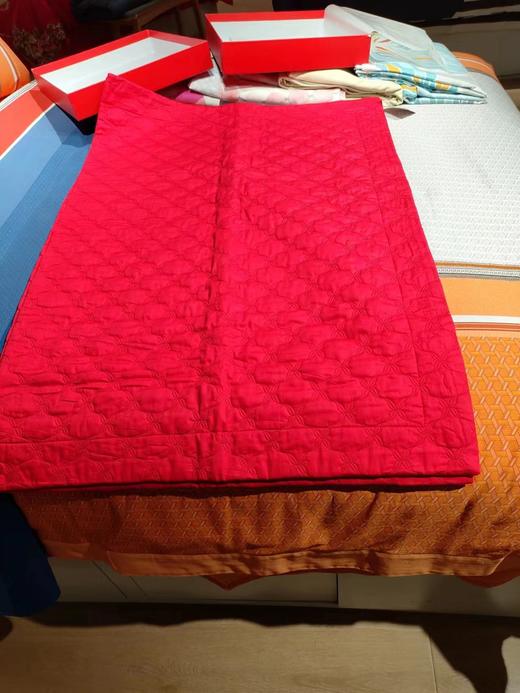 恐龙 RAY0038单卖大靠垫套 商品图0