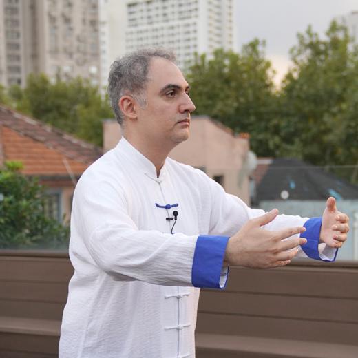 106 站桩 传统内在修养 Zhan Zhuang Gateway to the Internal(双语EN) ——Meghdad（易正）杨雅笙 商品图0