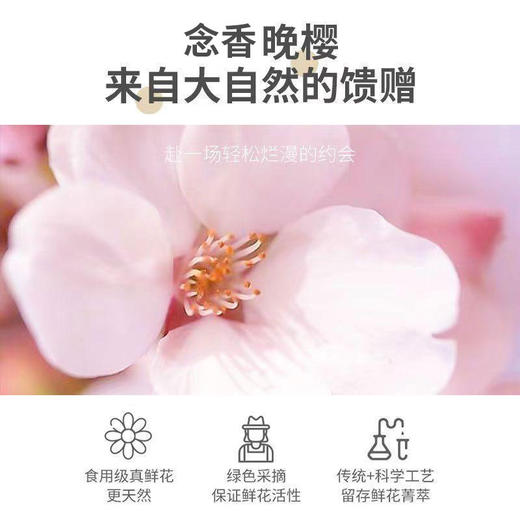 【洗护搭配！实力控油】念香洗发水晚樱氨基酸洗发水，丰盈蓬松香护发素沐浴露套装，洁净头皮，柔顺秀发 秘密修复 呼唤芳香 柔肤呵护心灵 商品图1