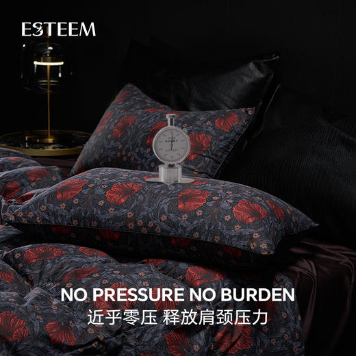 莫里斯传奇可水洗鹅绒枕 商品图3