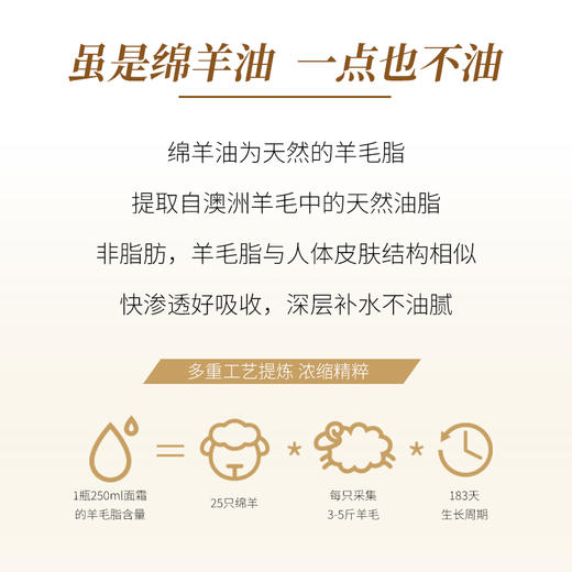 Solulu绵羊油250ml 1盒 商品图3