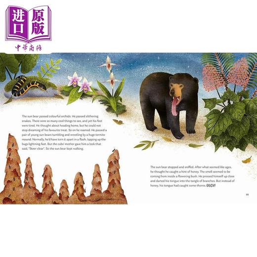 【中商原版】森林的秘密 Kristen Adam Secrets of the Forest 英文原版 科普绘本 知识故事书 精装百科绘本 进口儿童读物 商品图3