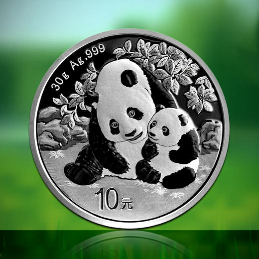 2024熊猫30克银币 商品图1