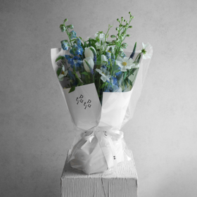 素蓝流心 Heart of Peace