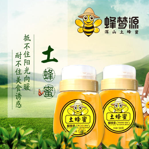 蜂梦源·深山土蜂蜜500g*3| 来自深山蜂场的自然好蜂蜜 商品图1