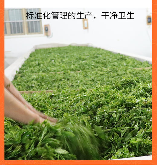 野桂花祁红 75克 野桂花香高 红茶味浓 简装/随手礼 商品图6