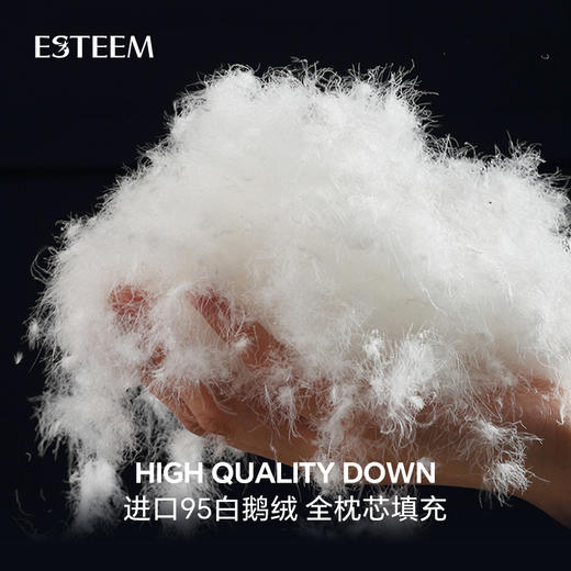 莫里斯传奇可水洗鹅绒枕 商品图4