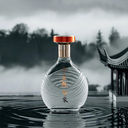 五粮液股份 五粮印象·水晶装 52度500ml*6瓶 浓香型固态法纯粮食白酒 商品图4