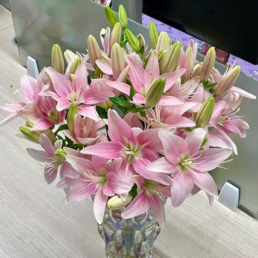 小粉仙多头亚百合5支 商品图3