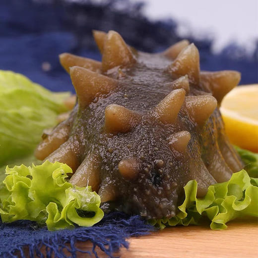 状元海有机海参 500g/袋 商品图0
