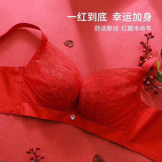 【商场同款】熳洁儿 轻塑调整文胸小胸聚拢中国红记忆钢圈收副乳AB杯花境系列23701303 商品图1
