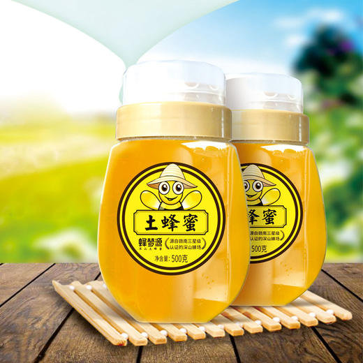 蜂梦源·深山土蜂蜜500g*3| 来自深山蜂场的自然好蜂蜜 商品图0