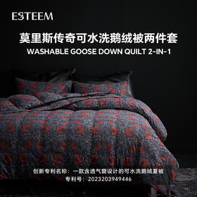 莫里斯传奇可水洗鹅绒被两件套