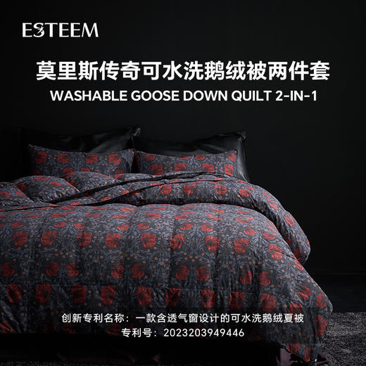 莫里斯传奇可水洗鹅绒被两件套 商品图0