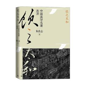 饮之太和  中国美学名著选讲 朱良志 著 艺术