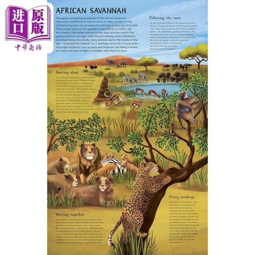 【中商原版】英文动物绘本 白天和夜间 探索地球白天和夜晚的栖息地 Daytime and Night time Explore the earths habitats 商品图3