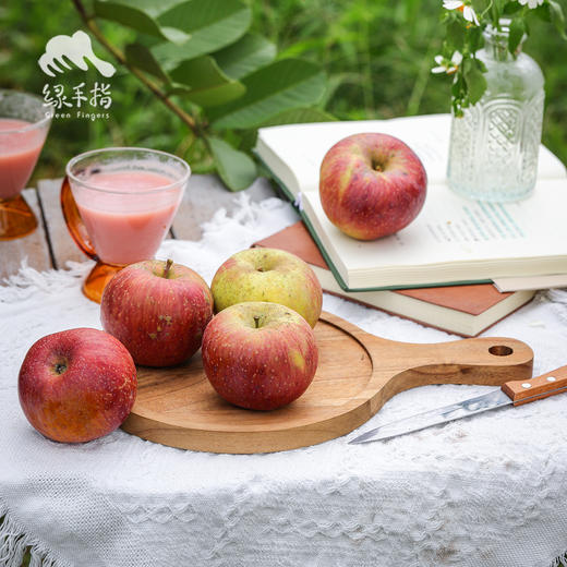 生态盐源红富士苹果 | 合作生产 * Ecological Yanyuan Fuji Apple | Coproduction 商品图2