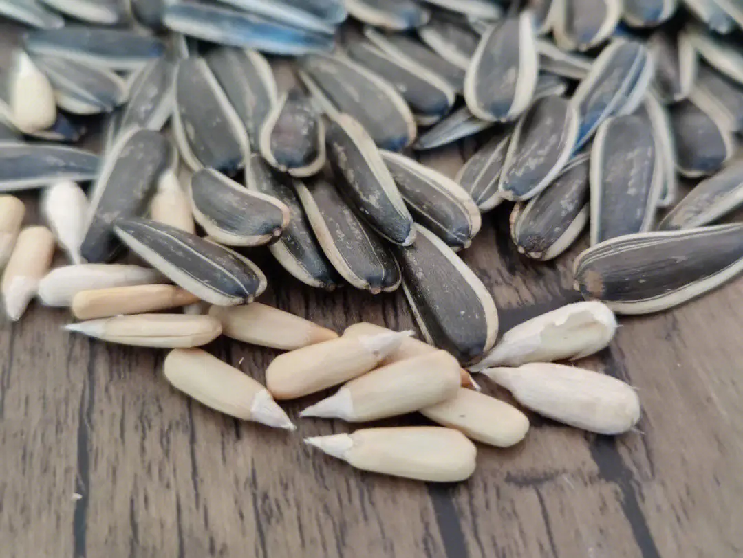 原味葵瓜子 新疆特产大瓜子500g/袋 坚果炒货休闲零食小吃  全国包邮