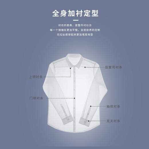 【易打理】圣得西男士商务通勤长袖衬衫秋季款职业上班衬衣2412952028A 商品图3