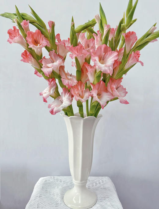 【剑兰.买2份减20元】10支/份 剪短至65-70cm左右发货 商品图9