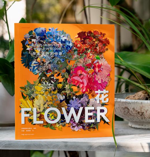 花：探索盛开的世界，“费顿艺术灵感”系列典藏画册，一座“花的博物馆” 商品图2