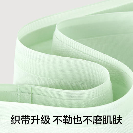 有棵树中腰无痕纯棉女士内裤3条装-U3060 商品图3