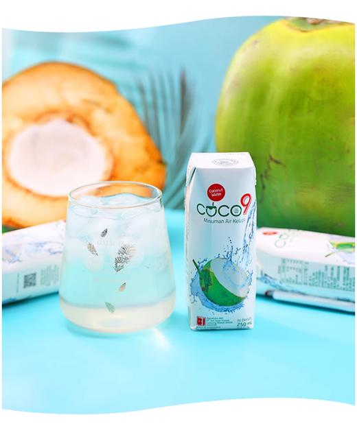 【11.1买三送三】COCO 印尼进口椰子水 商品图3