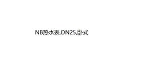 NB热水表,DN25,卧式,球铁,不带阀