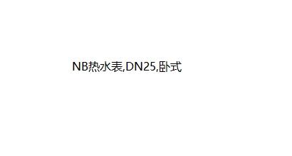 NB热水表,DN25,卧式,球铁,不带阀 商品图0