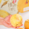 维纳斯女神金苹果 七年老树原苗种植 纯甜口感 果香浓郁 商品缩略图0