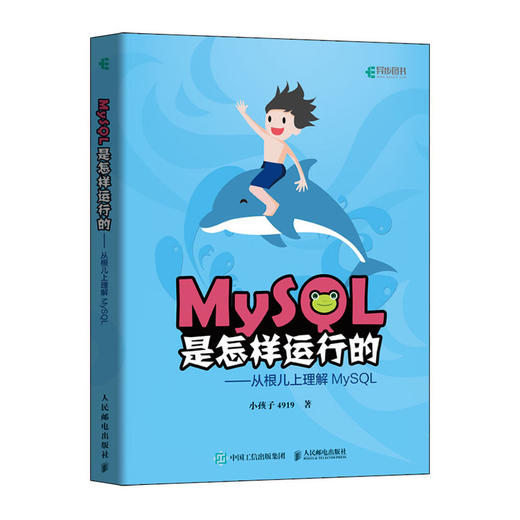 MySQL是怎样运行的 从根儿上理解MySQL 高性能MySQL深入浅出基础教程数据挖掘数据分析原理及应用书籍 商品图1