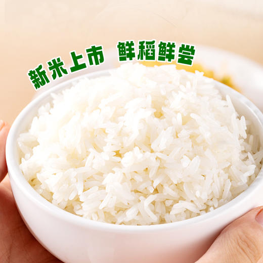 【凤品优选】湖北恩施 陇间柒月 富硒大米2.5kg 口感绵柔 商品图5