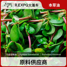 马齿苋精油单方精油原料批发芳疗护理调香香薰 大篷车精油