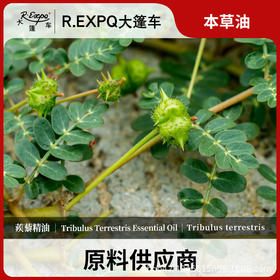 蒺藜精油原料批发芳疗护理调香本草油Tribulus Terrestris