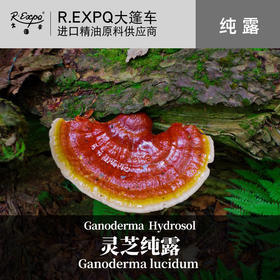 灵芝纯露 原料批发 面部按摩花水纯露批发 美容院适用SPA纯露