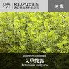 艾草纯露 印度原料批发 大篷车纯露批发 SPA会所适用按摩花水纯露 商品缩略图0