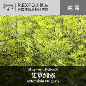 艾草纯露 印度原料批发 大篷车纯露批发 SPA会所适用按摩花水纯露