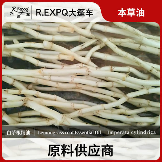 白茅根精油 超临界萃取单方精油 原料批发护理按摩美容院配方调香 商品图0