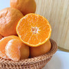 【现摘现发】正宗涌泉蜜桔5斤装 商品缩略图6