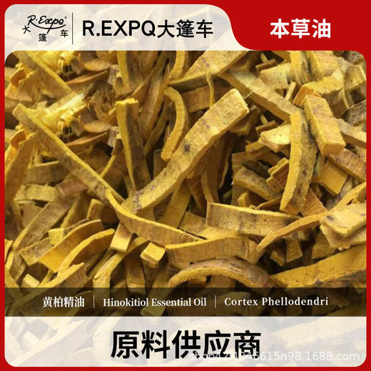 黄柏精油原料批发芳疗护理调香本草精油Hinokitiol 商品图0